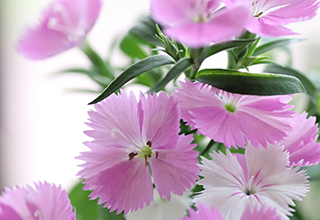 沿革のイメージ